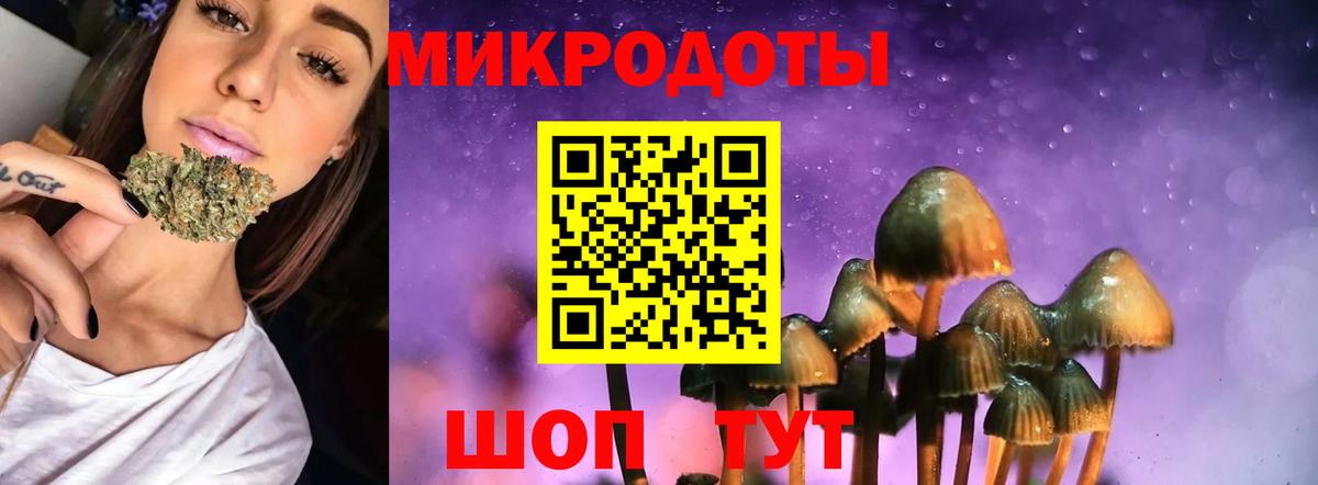 Псилоцибиновые грибы Psilocybine cubensis Донецк